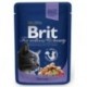 Brit For wellness and beauty dorsz 100g
